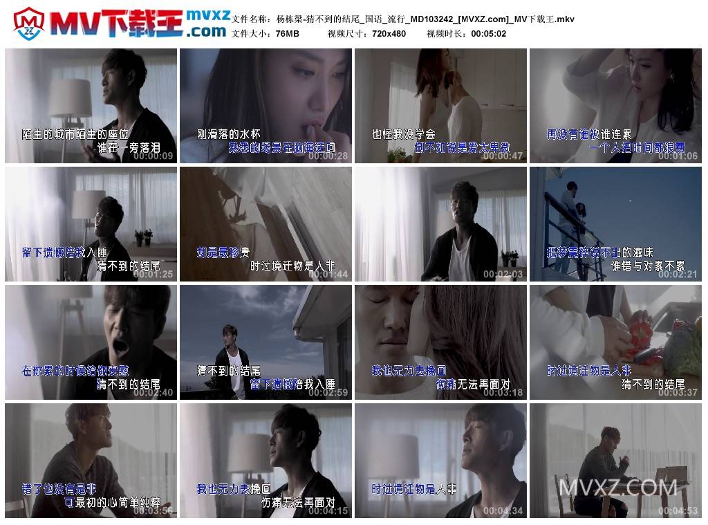 杨栋梁-猜不到的结尾_国语_流行_MD103242